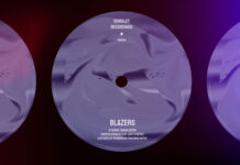 Blazers Stingray remixes album art
