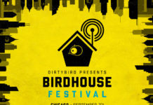 Chicago Dirtybird Festival Birdhouse 2019