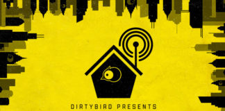 Chicago Dirtybird Festival Birdhouse 2019