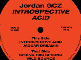 Jordan GCZ Introspective Acid album artwork