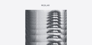 Medlar Interruptor album art