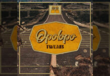 Opolopo Tweaks album art