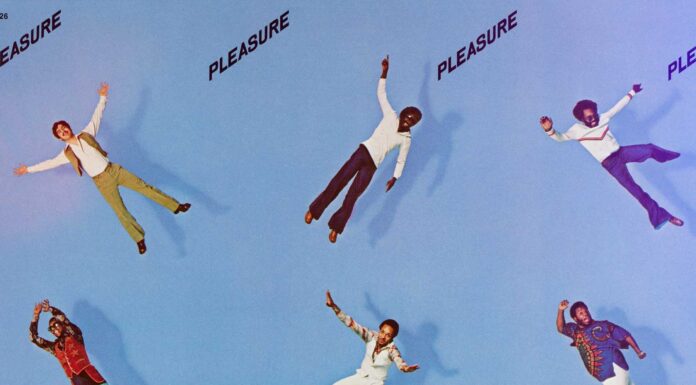 Pleasure Joyous album art