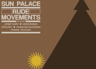 Sun Palace Rude Movements moodyman remix album art